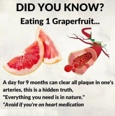 FolksHealthy's tweet photo. health and fitness tips, like &amp; share post, more health plan link in bio @FolksHealthy

#healthytips #healthyeating #healthyfood #healthylife https://t.co/k9iAig9Wfx
