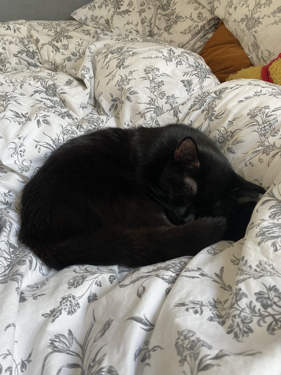 The way I would give it all for her? 🖤