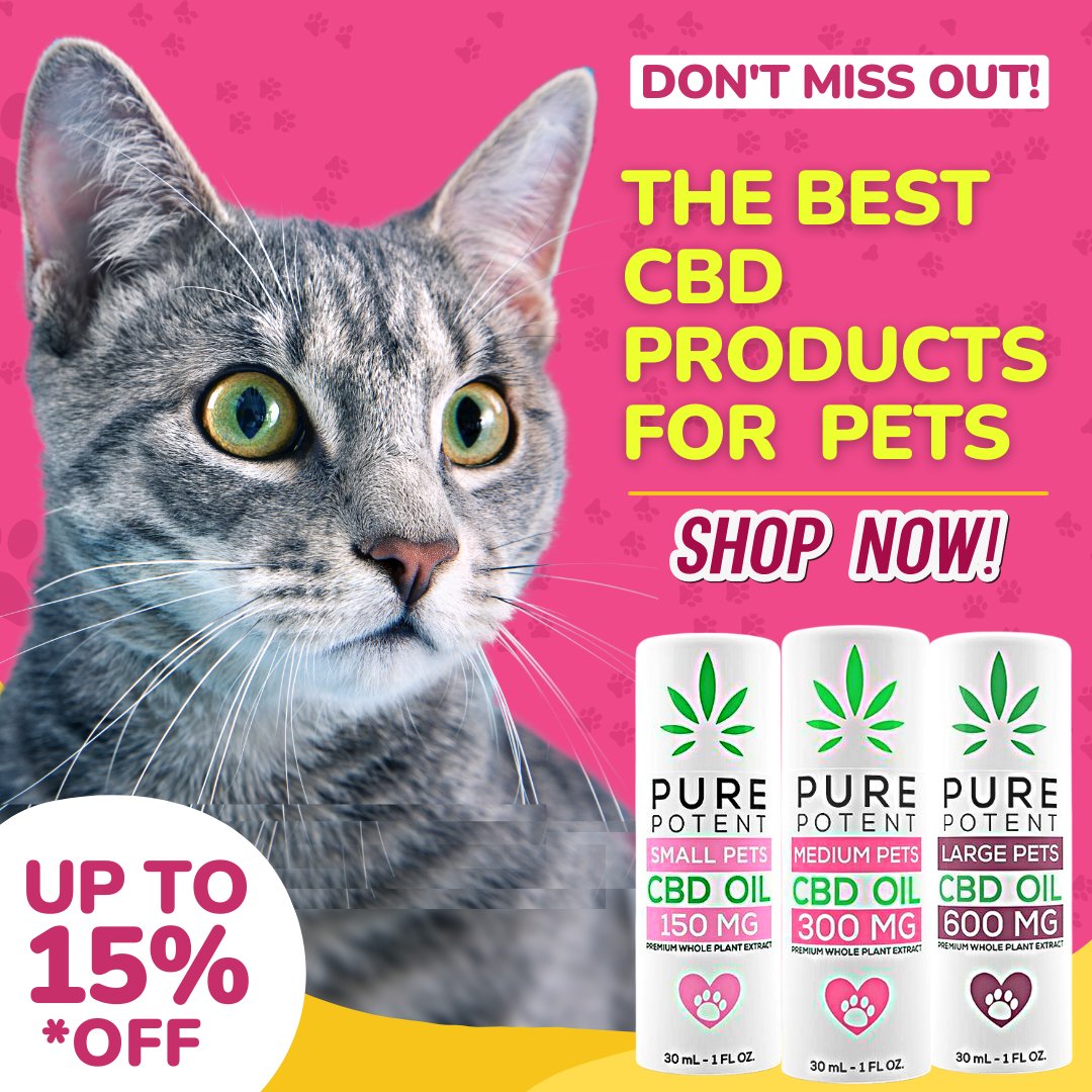 PurePotentCBD's tweet photo. Save 15% off of Pure Potent PET CBD with coupon code: PET15
Available for Small, Medium or Large sized pets.
Visit https://t.co/u0S6bmuubG https://t.co/3SnhTvIgIg