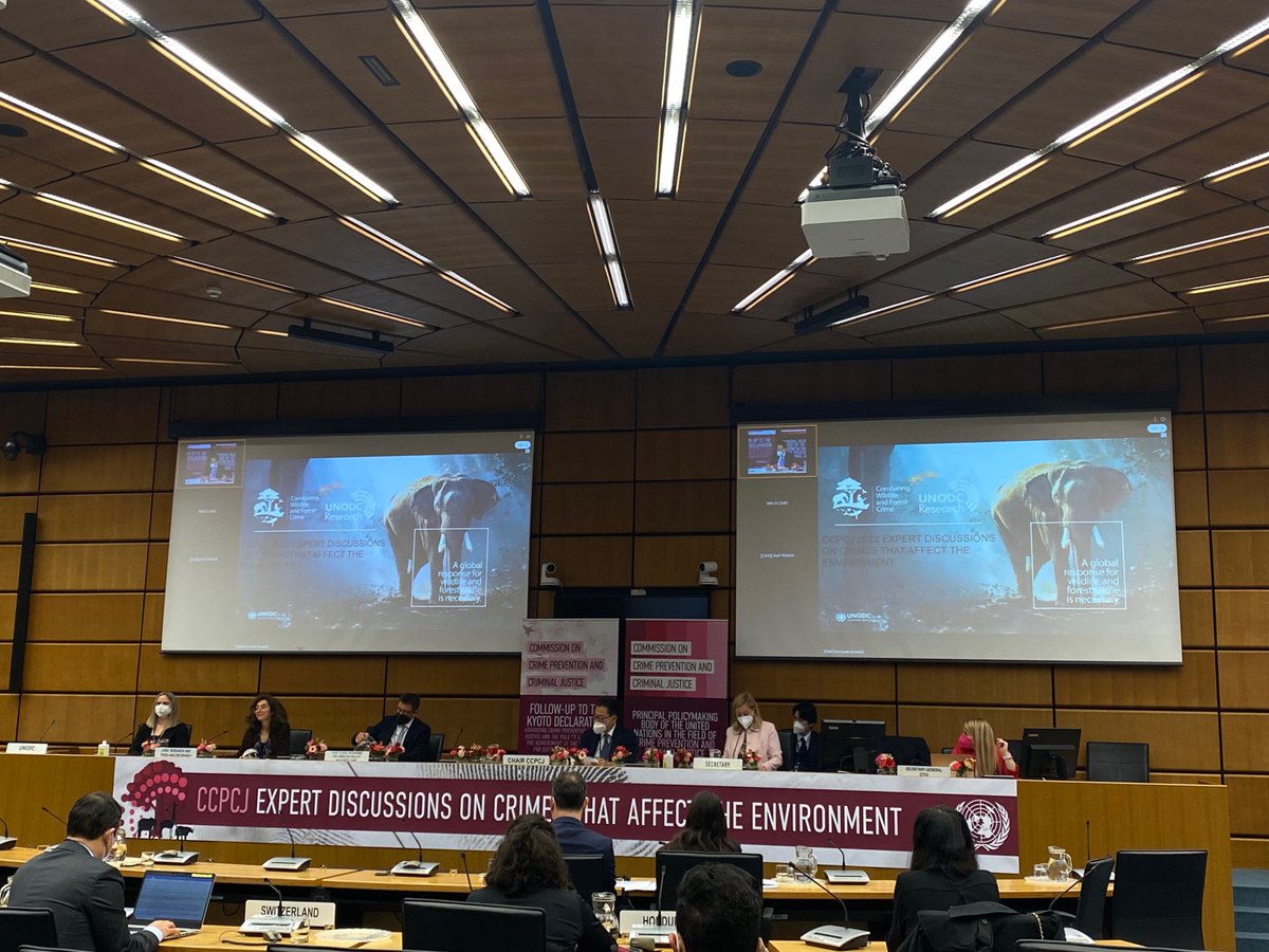 La journée 1 des discussions d'experts 🇺🇳@CCPCJ est close - Merci @Morocco_Austria @ThailandUN @FranceONUVienne @justice_gouv @UNEP @CITES @UNESCO @Heuni_institute @OECD @UNICRI @SREnvironment @UNBiodiversity @sinisamilatovic @UNDP @Panama_UN @MinAmbienteCo @CpcjA pour ce succès!