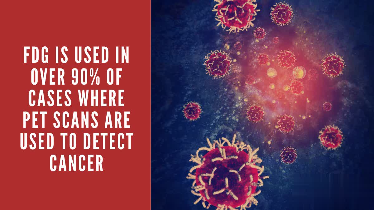 VamsyDr's tweet photo. What Do #FDGPETScans Tell Us?

FDG PET scans are important for a few main reasons…

The most obvious reason is that they help us #detectcancer. In fact, FDG is used in over 90% of cases where PET scans are used to detect #cancer.

#cancer #cancertreatment #cancerawareness https://t.co/Xsy9OnuVVi