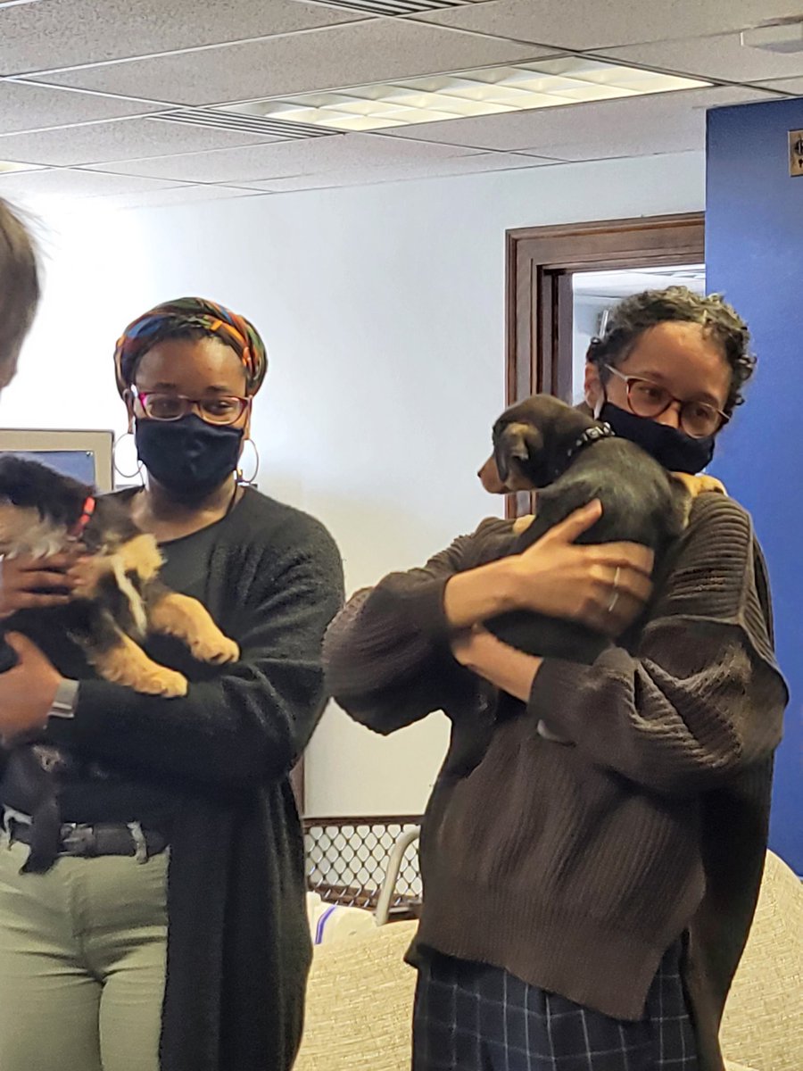 It is a #HappyValentinesDay indeed with puppy cuddles from <a href="/WaysideWaifs/">Wayside Waifs</a>! There is nothing better to put a smile on the faces of our hard-working team. #PuppyLove