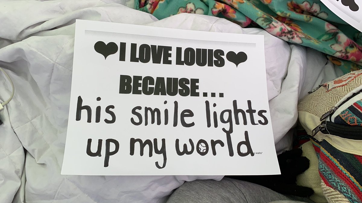 📲 'Amo a Louis porque su sonrisa ilumina mi mundo' más del fan project de Walls

©@devilsdaydream_ 
#LTWTPittsburgh