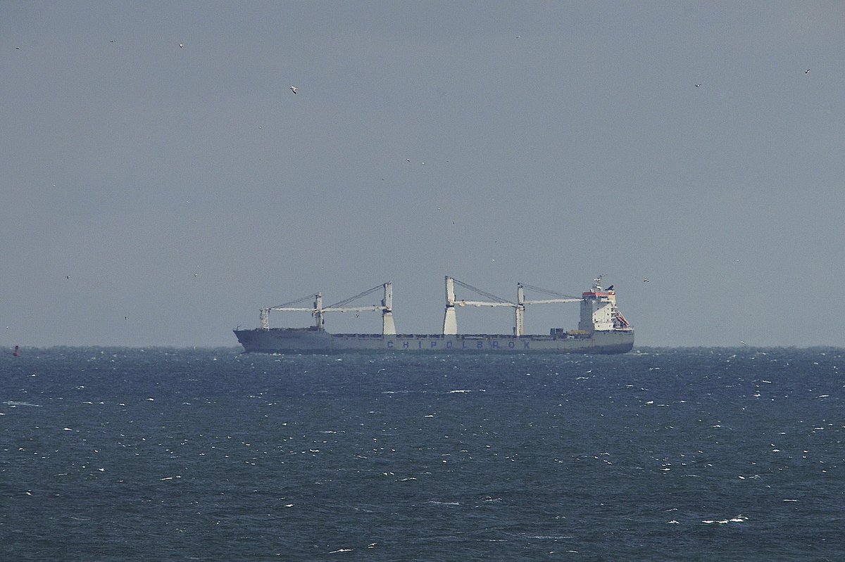 johnmorgan726's tweet photo. The PARANDOWSKI, IMO:9432139 en route to Baltimore, Maryland @BShipspotting @BaltoChes flying the flag of Malta 🇲🇹. #Chipolbrok #Parandowski #GeneralCargoShip #ShipsInPics https://t.co/L5tH7FoQwL