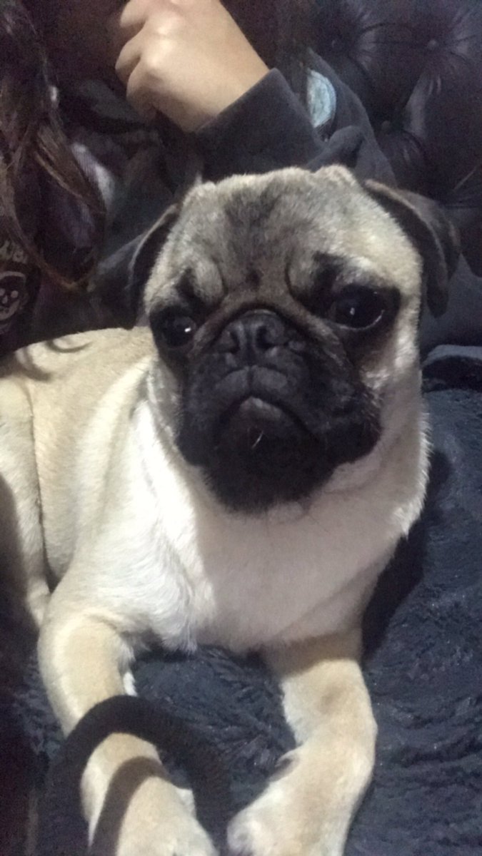 antoviitale's tweet photo. POR FAVOR AYUDENME A SEGUIR DIFUNDIENDO, PASARON 21 DIAS, TIENE QUE APARECER 😪😪 https://t.co/gYuMXkk2mu