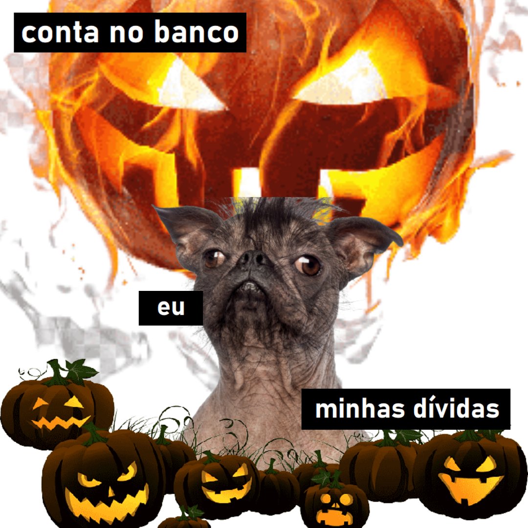 Uffa_com_vc's tweet photo. feliz valentine’s day pra quem vive uma história de amor com a conta bancária <3 eu tô mais pra halloween! 🎃🎃🎃 #uffajuda #uffacomvc #uffa https://t.co/s1rhmHAPpN