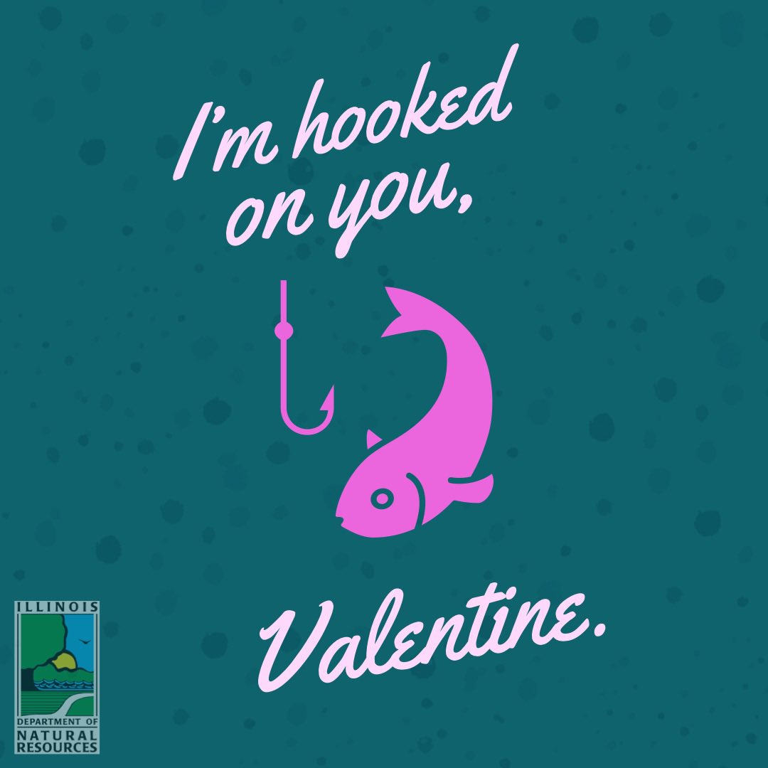 IllinoisDNR's tweet photo. #ValentinesDay2022 #getoutside #exploremoreil #enjoyillinois https://t.co/0y12pwDfc1