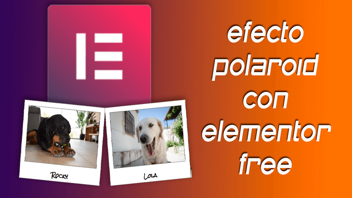 Efecto polaroid con Elementor free youtube.com/watch?v=Ej0k2P…