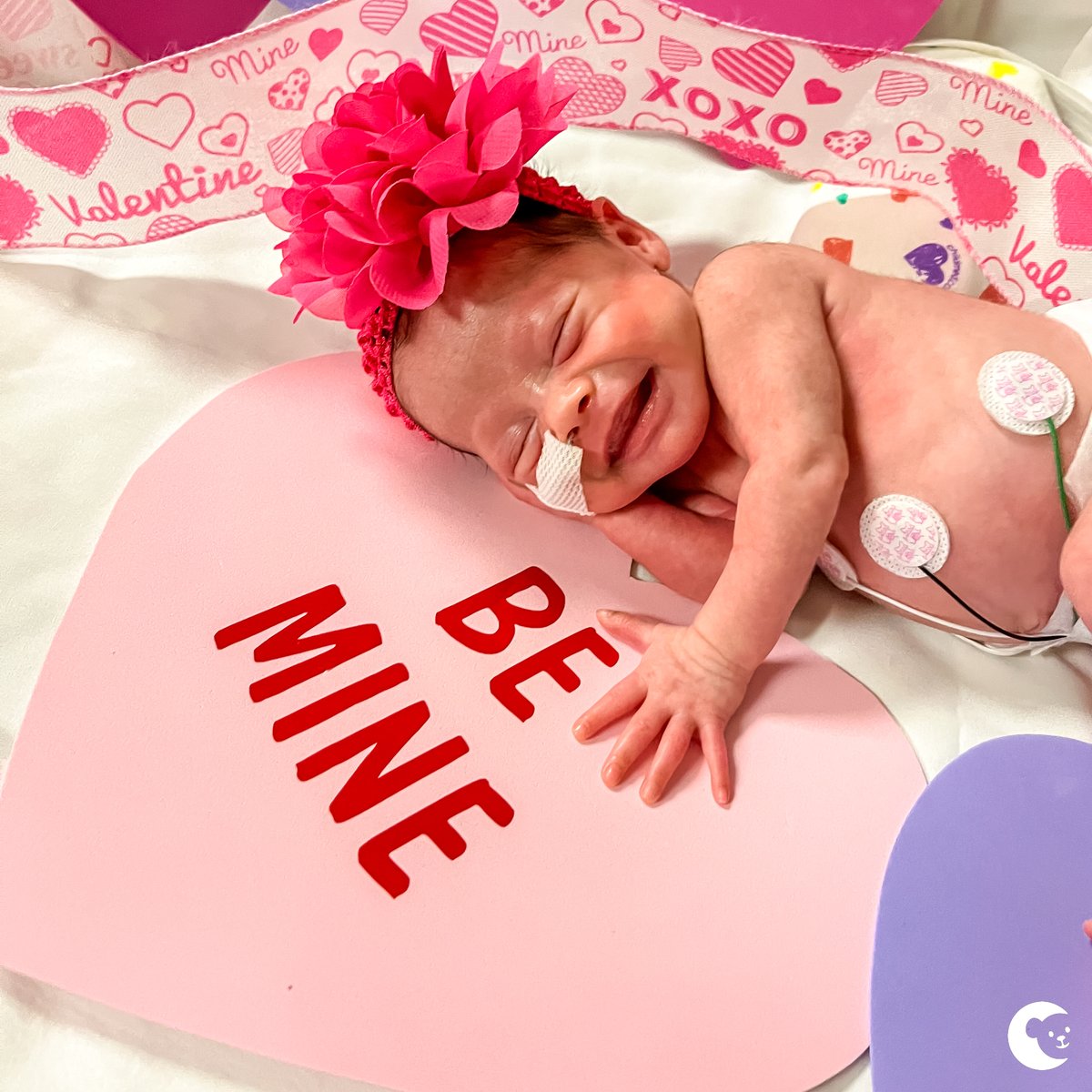 chocchildrens's tweet photo. The cutest bunch of Sweethearts! 💙

Our Neonatal Intensive Care Unit and Small Baby Unit babies are wishing all of you a happy #ValentinesDay! https://t.co/gee3ZrtSuK