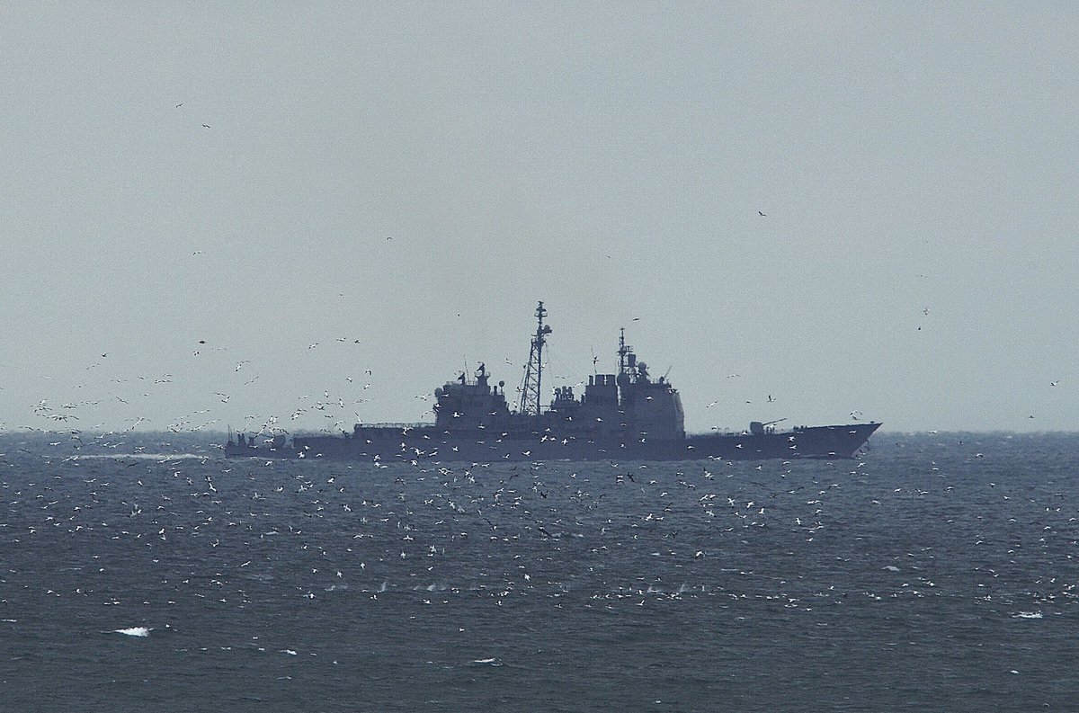 The USS LEYTE GULF (CG-55) 🇺🇸 Ticonderoga-class guided missile cruiser and #AFlockOfSeagulls. #USNavy #USSLeyteGulf #CG55 #ShipsInPics