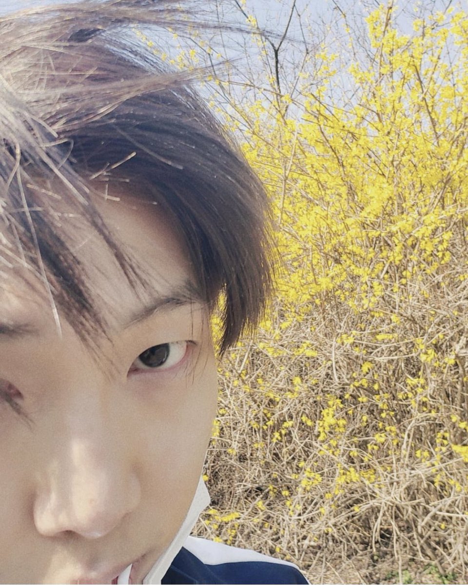 RMPICS_twt's tweet photo. rkive’s new pfp 🥺🤏 https://t.co/4S0e82N6En