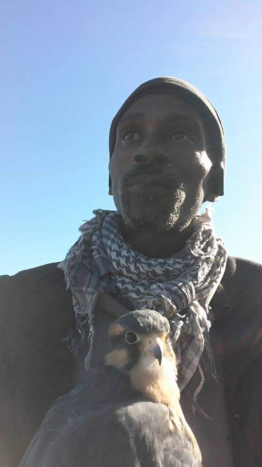 #RodneysRaptors 
#DippysDream 
#BigChuck