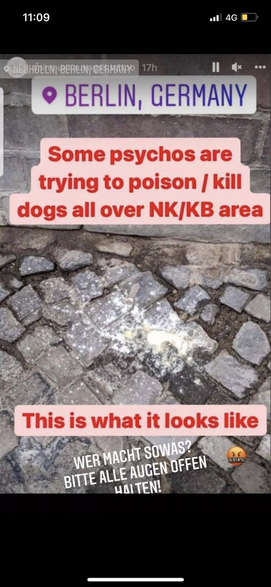 Warning for Berlin dog owners and everyone really - some sickos are KILLING DOGS with poison that just requires the dogs nose to touch. 

If you see this powder, please do not ignore - wash away. Also found in bait like chicken etc.Mainly seen in Kreuzberg &amp; Neukölln #berlin