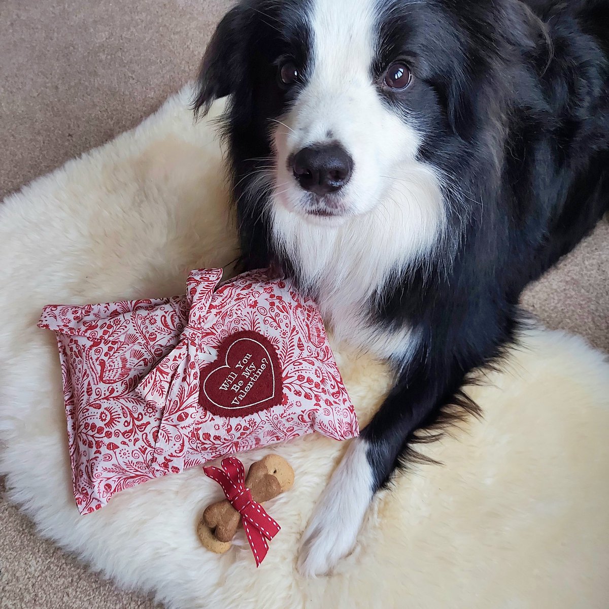 Kate Sproston Design tweet media