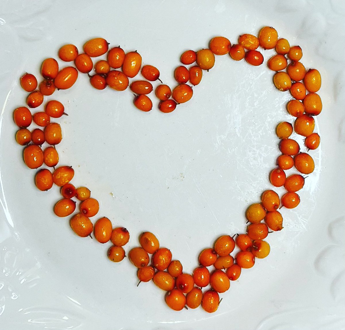 Happy Valentine’s Day!  ❤️ Give yourself and your family the gift of health!  #ValentinesDay #love #seabuckthorn #organic #CdnAg #eatlocal #saskgrown #farmtofork #omega7 #omega3
