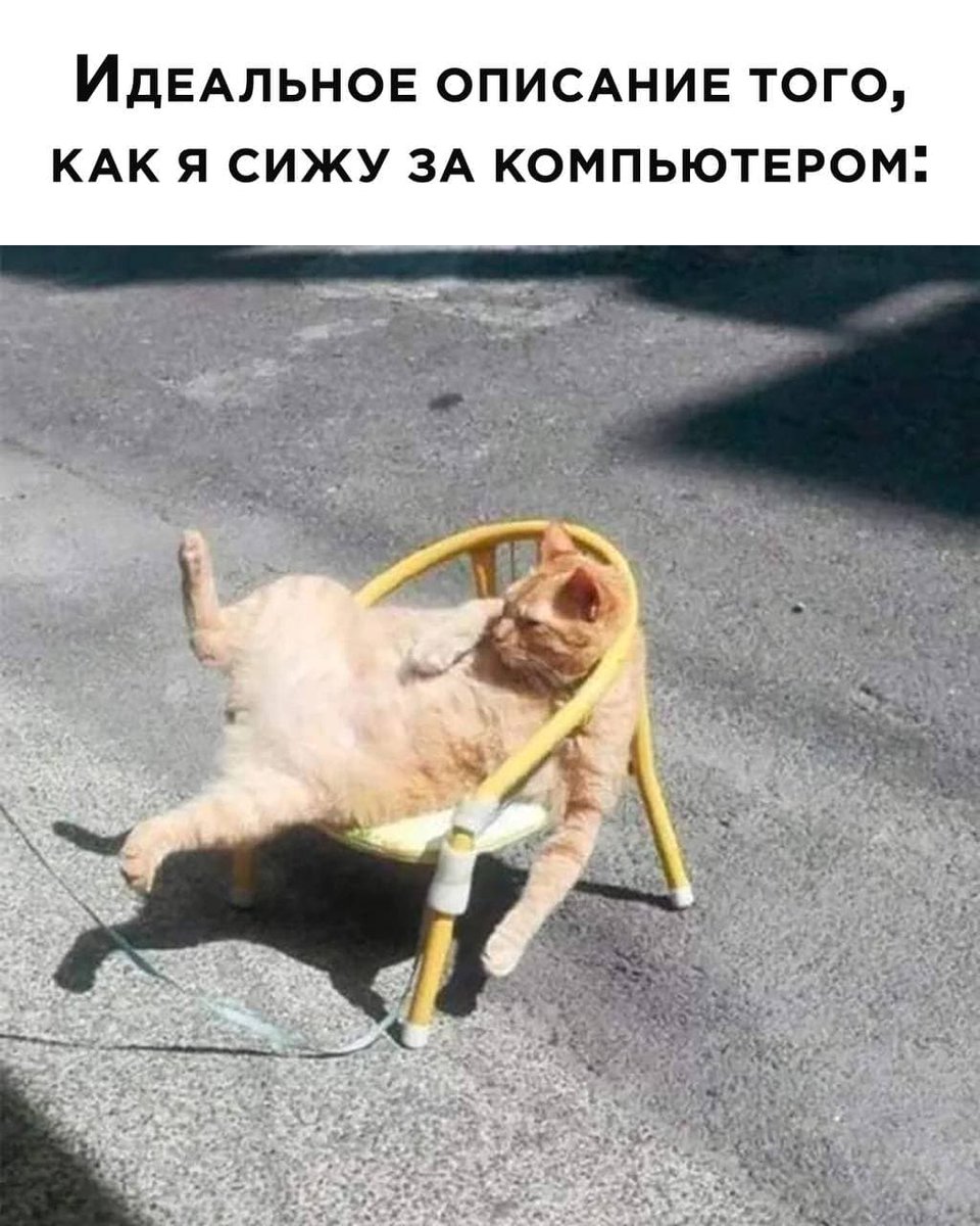 RussianMemesLtd's tweet image. a perfect description of how I'm sitting at the computer: