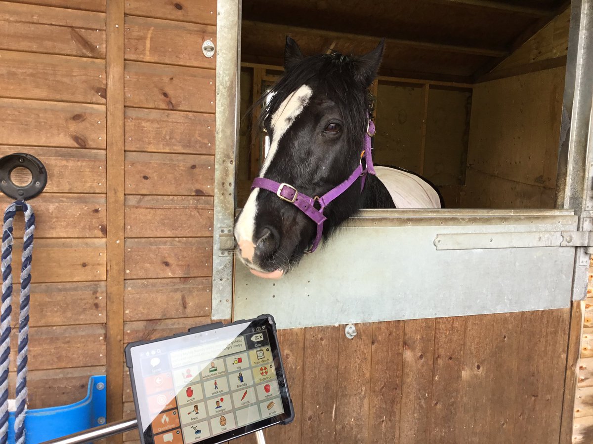 beccyslt's tweet photo. What #mySLTday has looked like for the last few weeks! Completed my goal of supporting communication #participation in the pool with my physio colleagues ✨🏊‍♀️ and went horse riding. Horse went for a chew of the device…”the horse ate my AAC” would have been a new one😂 https://t.co/xcStGu4uhX