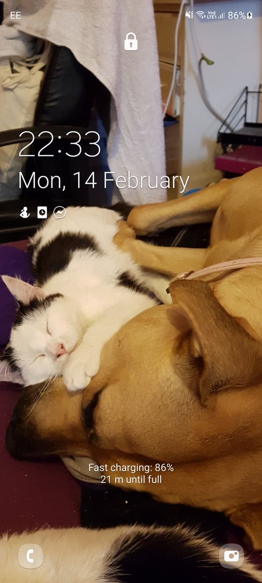 Jade B Moore tweet media