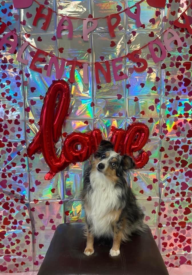 CobbVicki's tweet photo. Happy Valentines Day! ❤️ https://t.co/RWZHl5cvFU