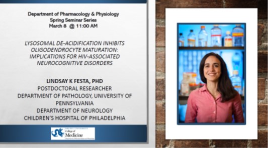 DrexelPharmPhys's tweet photo. Join us on March 8 at 11 AM EST for our next seminar!

Dr. Lindsay Festa: "Lysosomal de-acidification inhibits oligodendrocyte maturation: Implications for HIV-associated neurocognitive disorders"

For zoom info, email ci25 at drexel dot edu https://t.co/x2JCUMwf9N