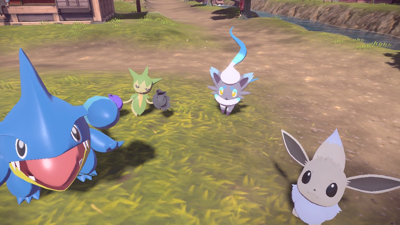 はる ポケモン アルセウス会う前に色違い厳選しててる謎 色違い前にポケモン集めろ 可愛い T Co 5yzqx1xvau Twitter