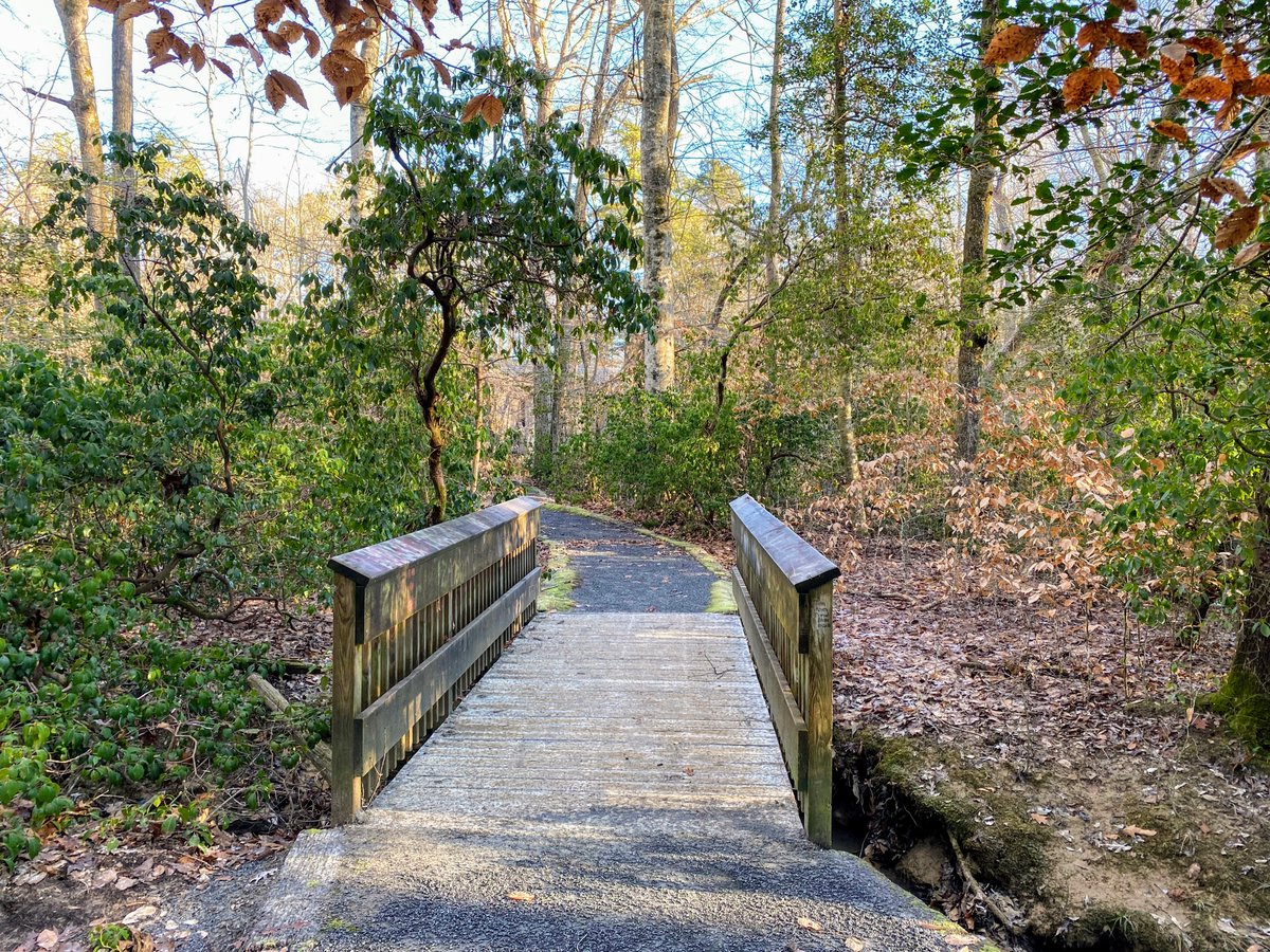 Happy Valentine's Day, from Heart of NC! 🥰💕 Plan a fun activity for you and your loved one with with this list of unique date ideas. 
📌 Pisgah Covered Bridge in Asheboro blog.heartofnorthcarolina.com/2022/01/romanc… #RandolphCountyNC #DateIdeas