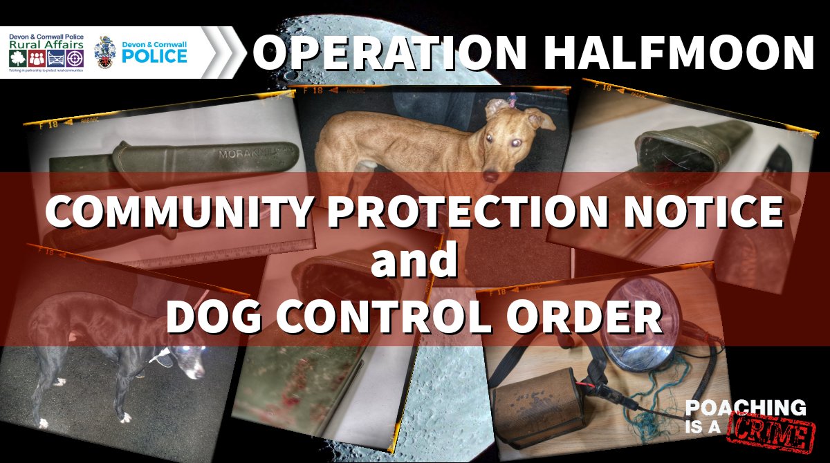 DCPoliceRural_D's tweet image. #OpHalfmoon Update: There was sufficient evidence of involvement in #Poaching / #HuntingWithDogs to issue the individual involved with a Community Protection Notice warning &amp;amp; Dog Control Order.

A robust approach is being taken to address #RuralCrime &amp;amp; #WildlifeCrime in the area