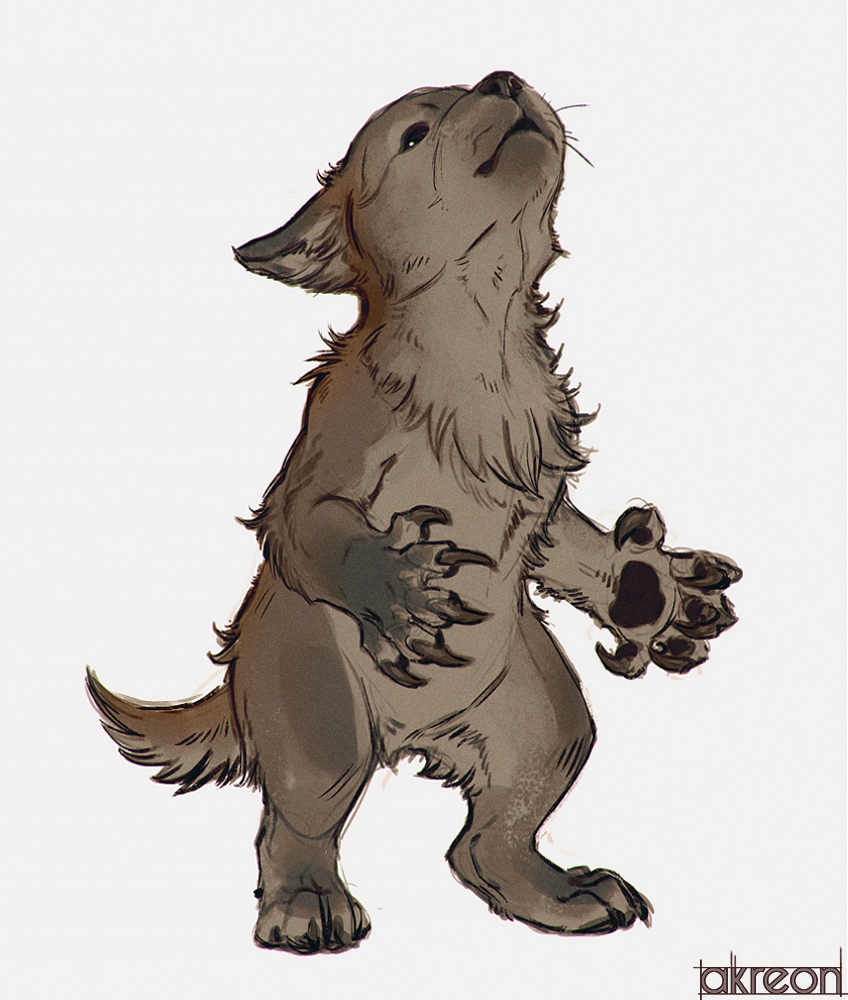 Werewolf puppy