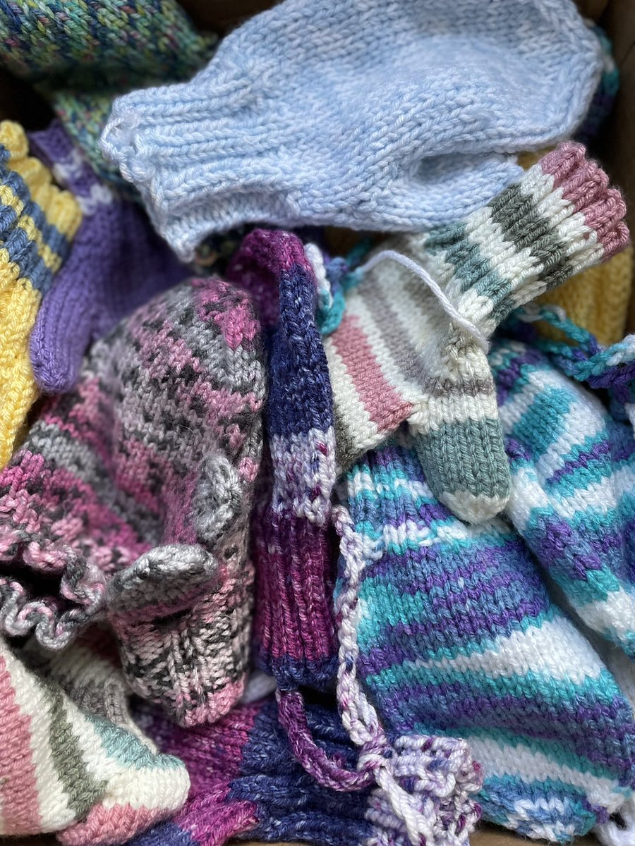 Today at the outdoor lab was freeeeeezing. Every year my grandma knits mittens and sends them to me. Today our Jefferson kids had warm hands thanks to grandma Grace! <a href="/JeffersonIBMYP/">Jefferson IBMYP</a> @APSGifted