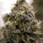 Photo by Growers Network (@growersnetwork)