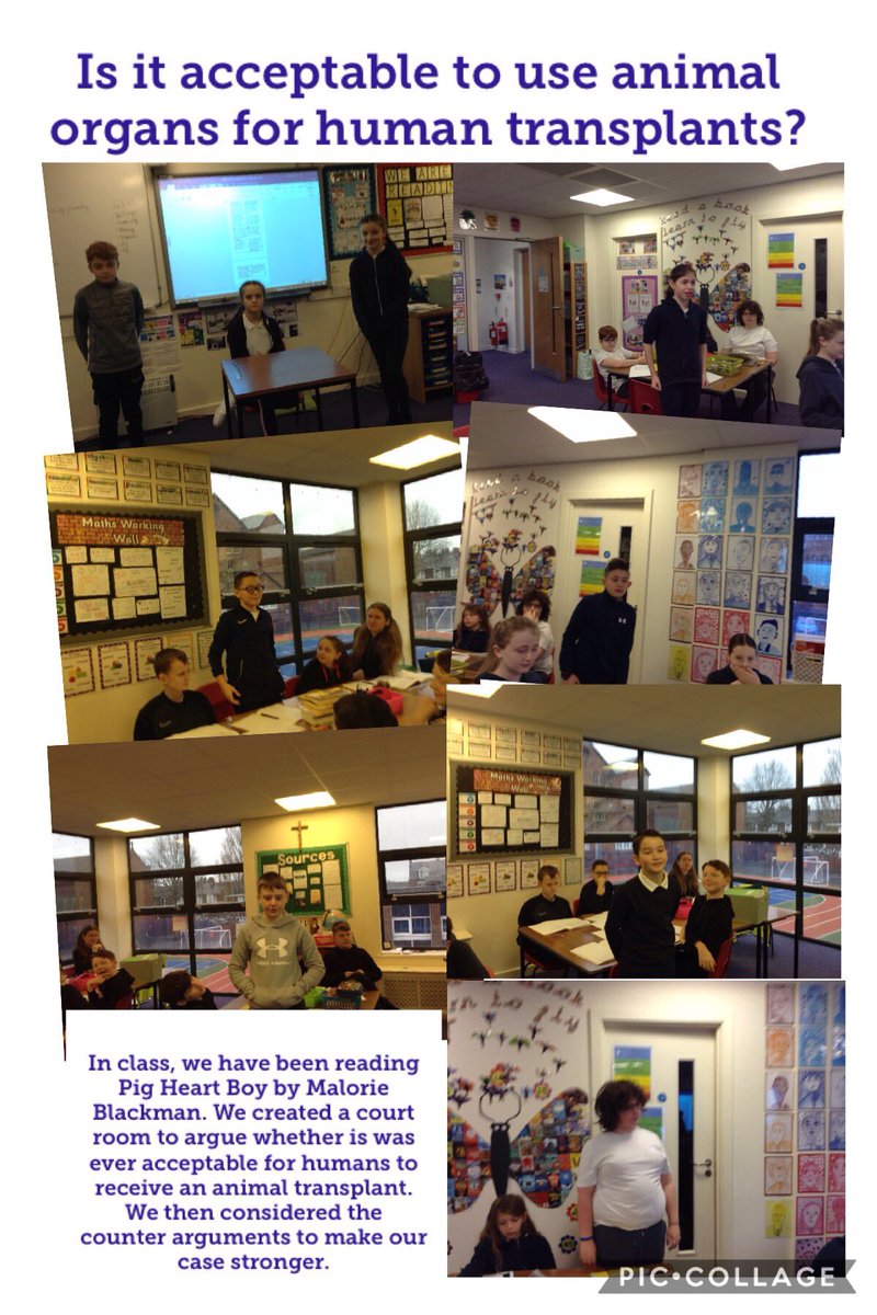 SaintEdwardsRC's tweet photo. Year 6A enjoyed debating the issues raised in the novel, ‘Pig Heart Boy’ by Malorie Blackman. To make their case stronger, they attempted to find a counter argument. https://t.co/wvbh2foyGG