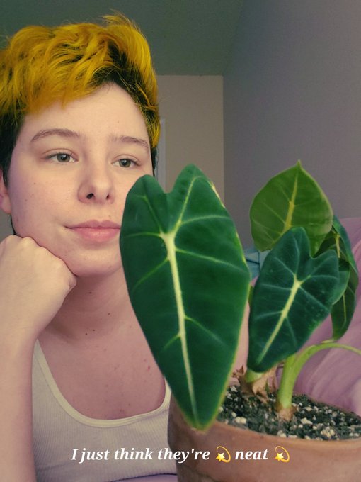 Avoid Gurus, Follow Plants 🌿 https://t.co/148cmDqupK