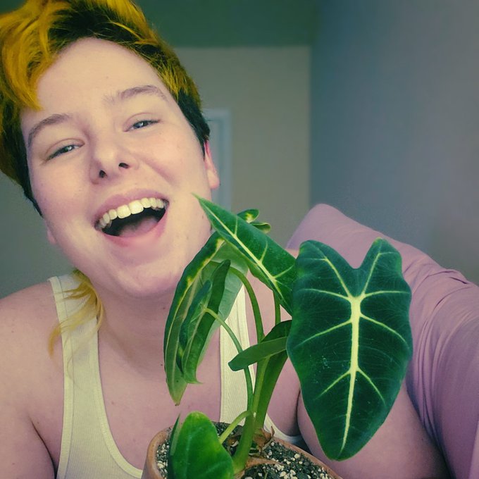 Avoid Gurus, Follow Plants 🌿 https://t.co/148cmDqupK