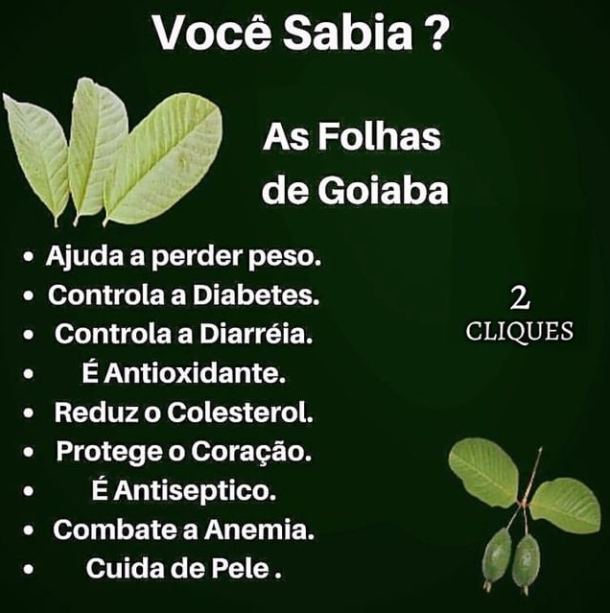 LonitiBlog's tweet photo. Siga: @loniti.com.br
Folhas de goiaba ⤵
Curta, comente e compartilhe!
Conheça os hábitos alimentares QUE DESTRAVAM O EMAGRECIMENTO FEMININO e evitam o efeito sanfona.
Acesse: @loniti.com.br e Aprenda a Emagrecer depois dos 30 anos!
.
.
.
#emagrecer
#saude
#bemestar https://t.co/x2GCkXvCbz