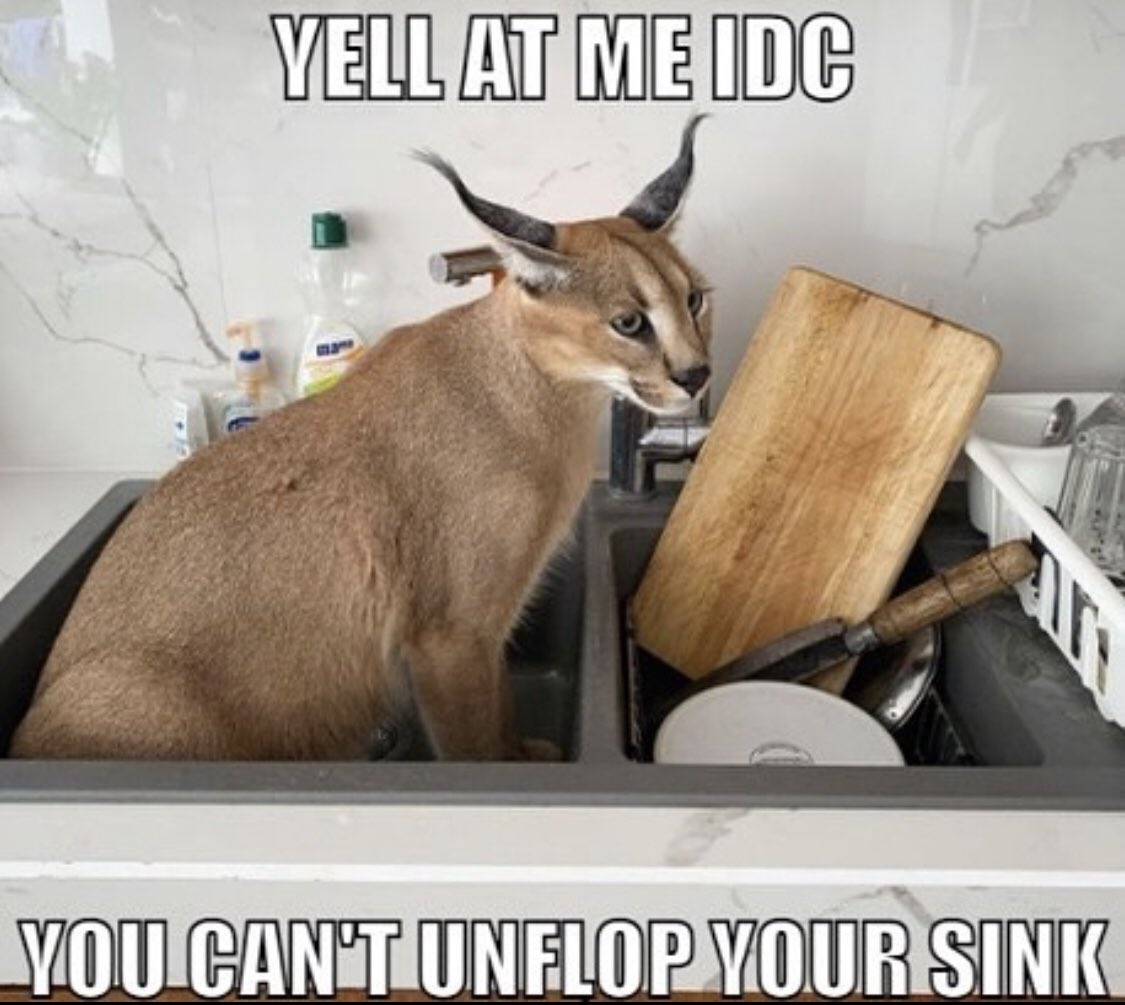 Floppa Gaming tweet media