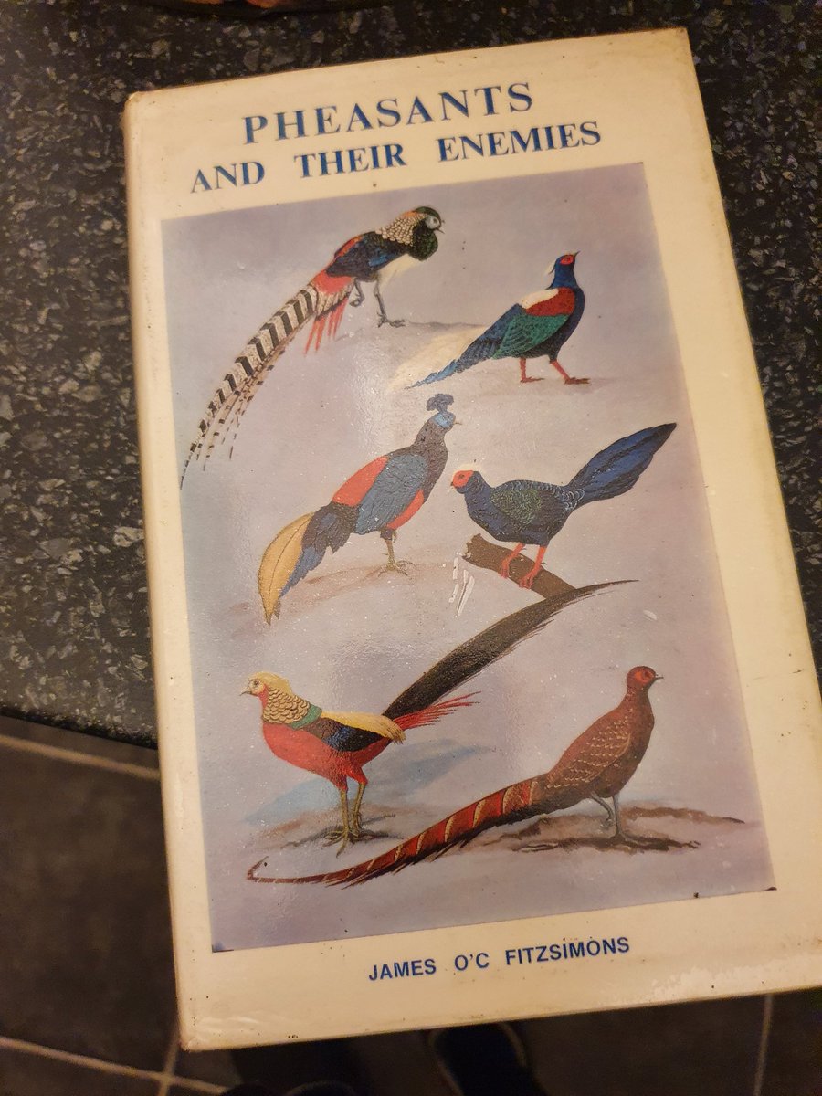 I had to buy this book today, just for the title