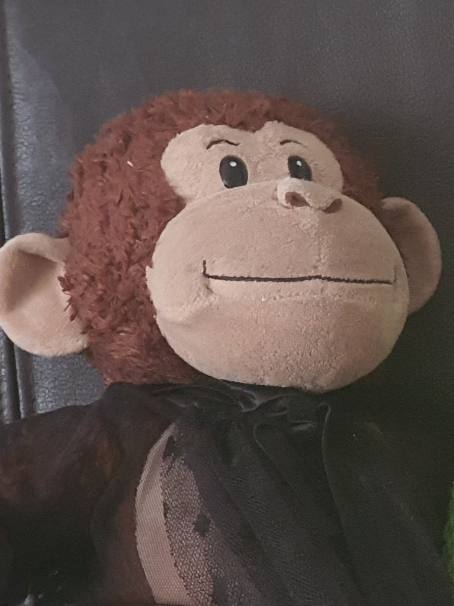 Sproutstuff's tweet photo. Did i do it right? (His name is Gegger) #tjart https://t.co/cubcJv8nHP