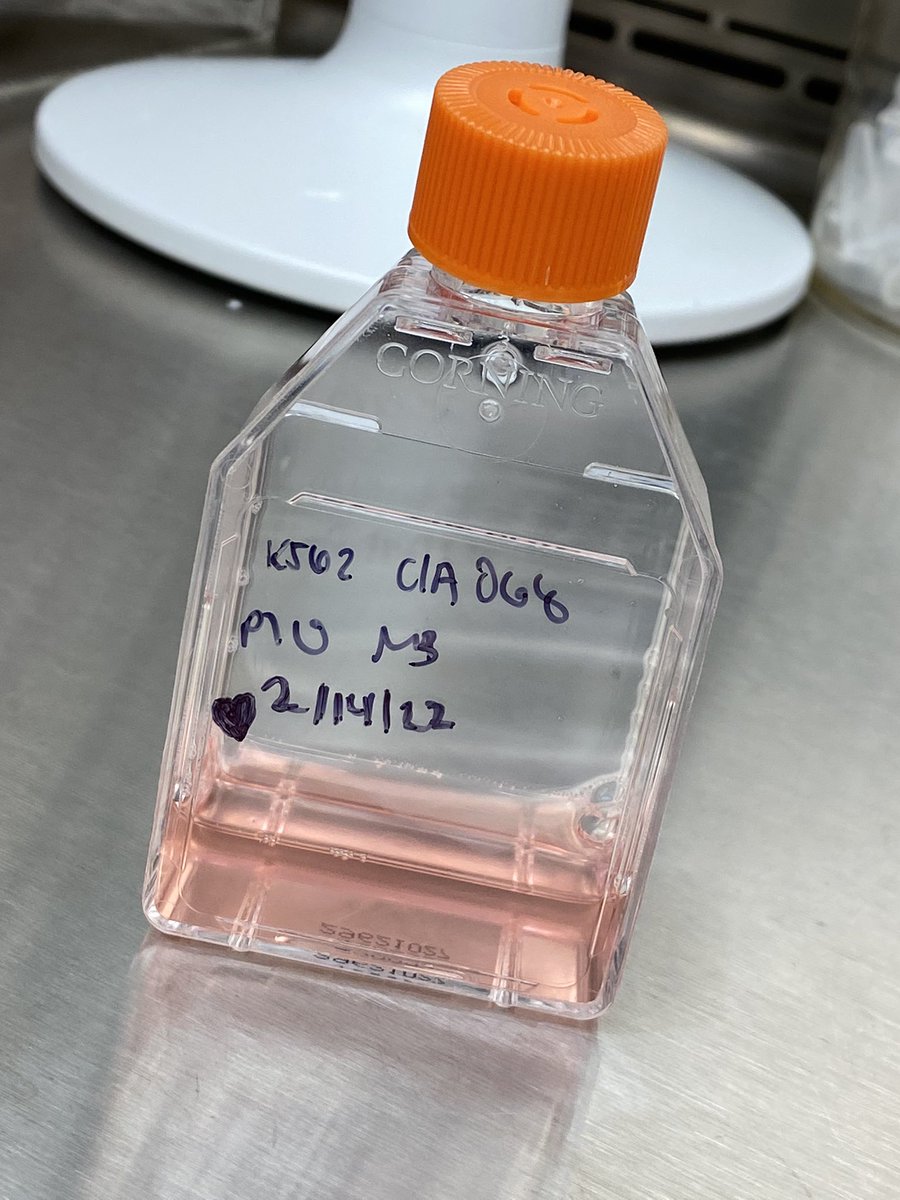 Marielle Bond, PhD tweet media