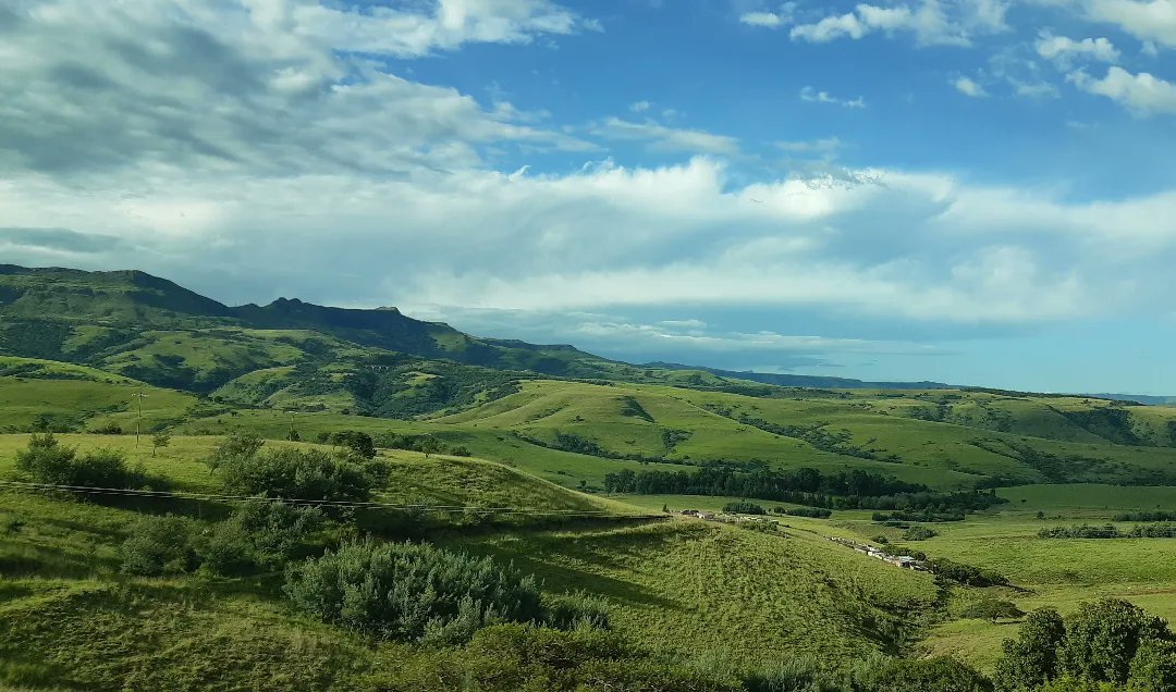 Gorgeous KZN. Wild and lush.