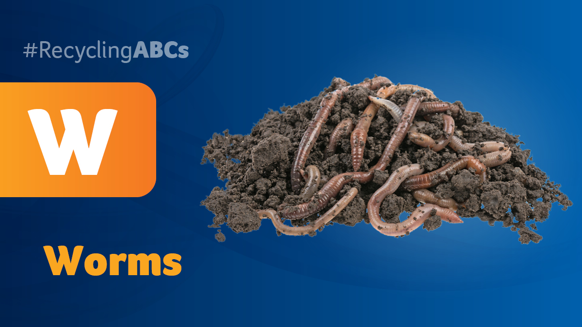 CityofRegina's tweet photo. W – Worms are big helpers when it comes to composting. They help turn food scraps into nutrient rich soil. If you’re thinking of composting, visit https://t.co/iIieUChOHq for tips and videos on how to get started. #RecyclingABCs https://t.co/d4RZvrxZFv