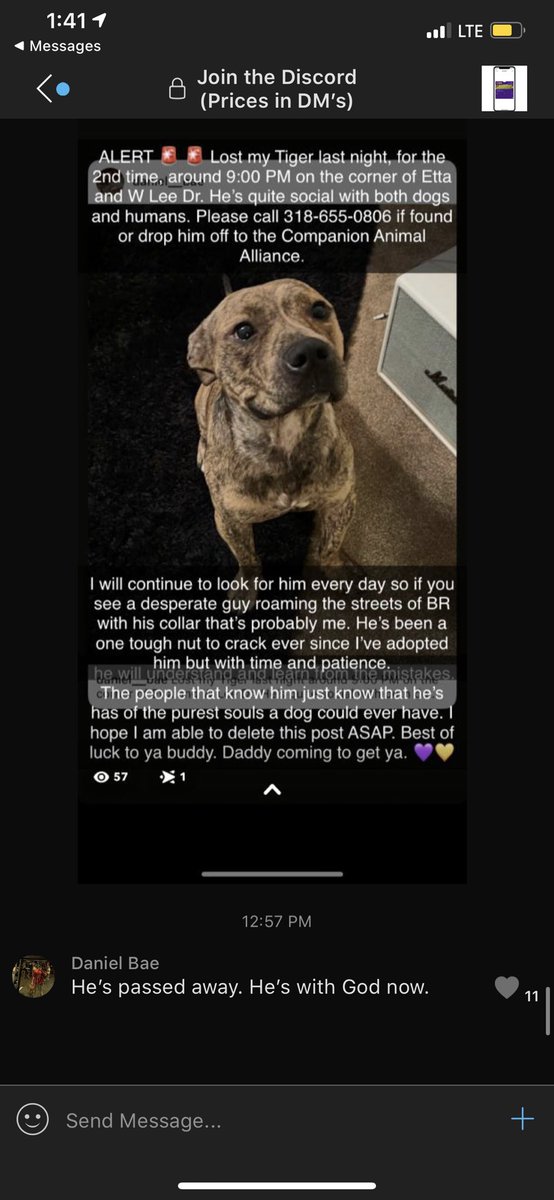 aliyikes's tweet photo. Nah I’m boutta cry yo https://t.co/mMv90Jen34