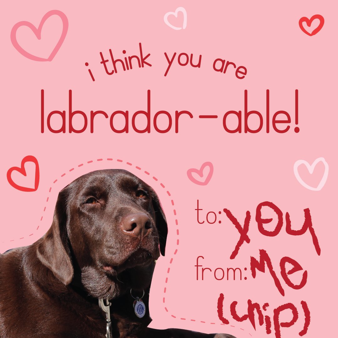 you know what day it is!!! 💕🥺💛💜❤️💗🧸🥰