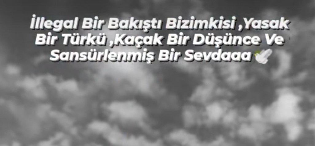 nzldmrkya (@elisa83576244) on Twitter photo 