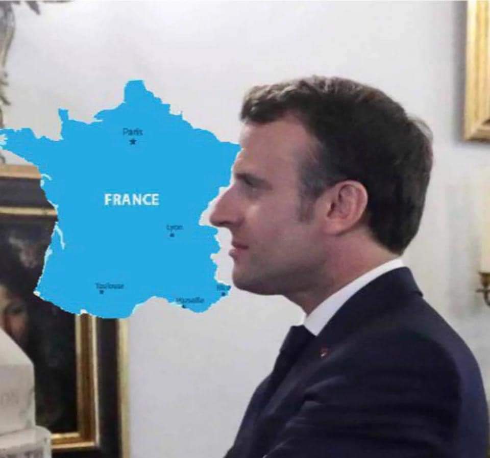 Election Memes for Pingu Teens (@eememez) on Twitter photo 