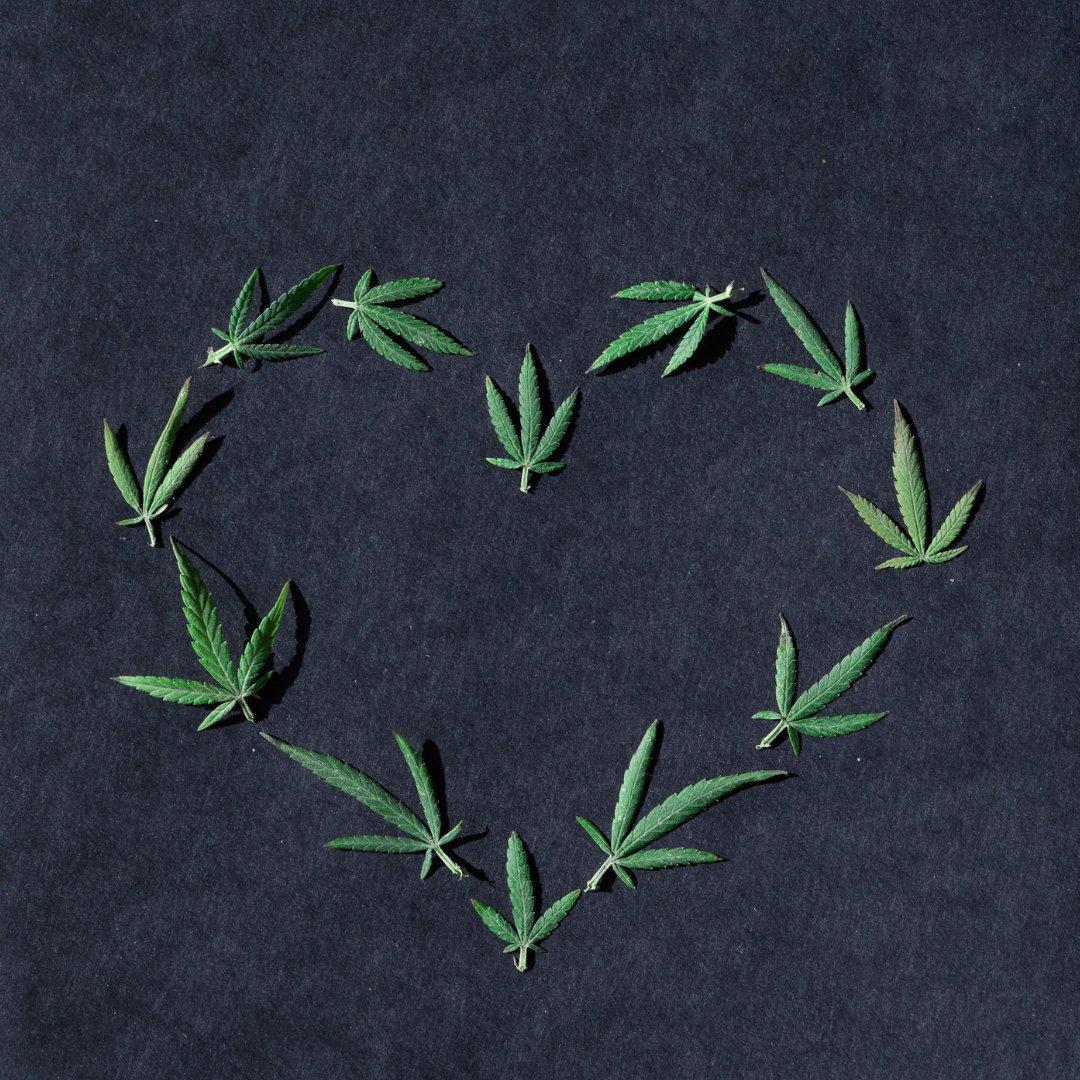 Happy Valentine’s Day! 

Are you spending the day with loved ones? Or riding solo and practicing some self care?