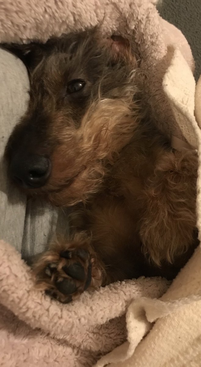 In my happiest place. Wrapped in love. Sending some your way 😘❤️