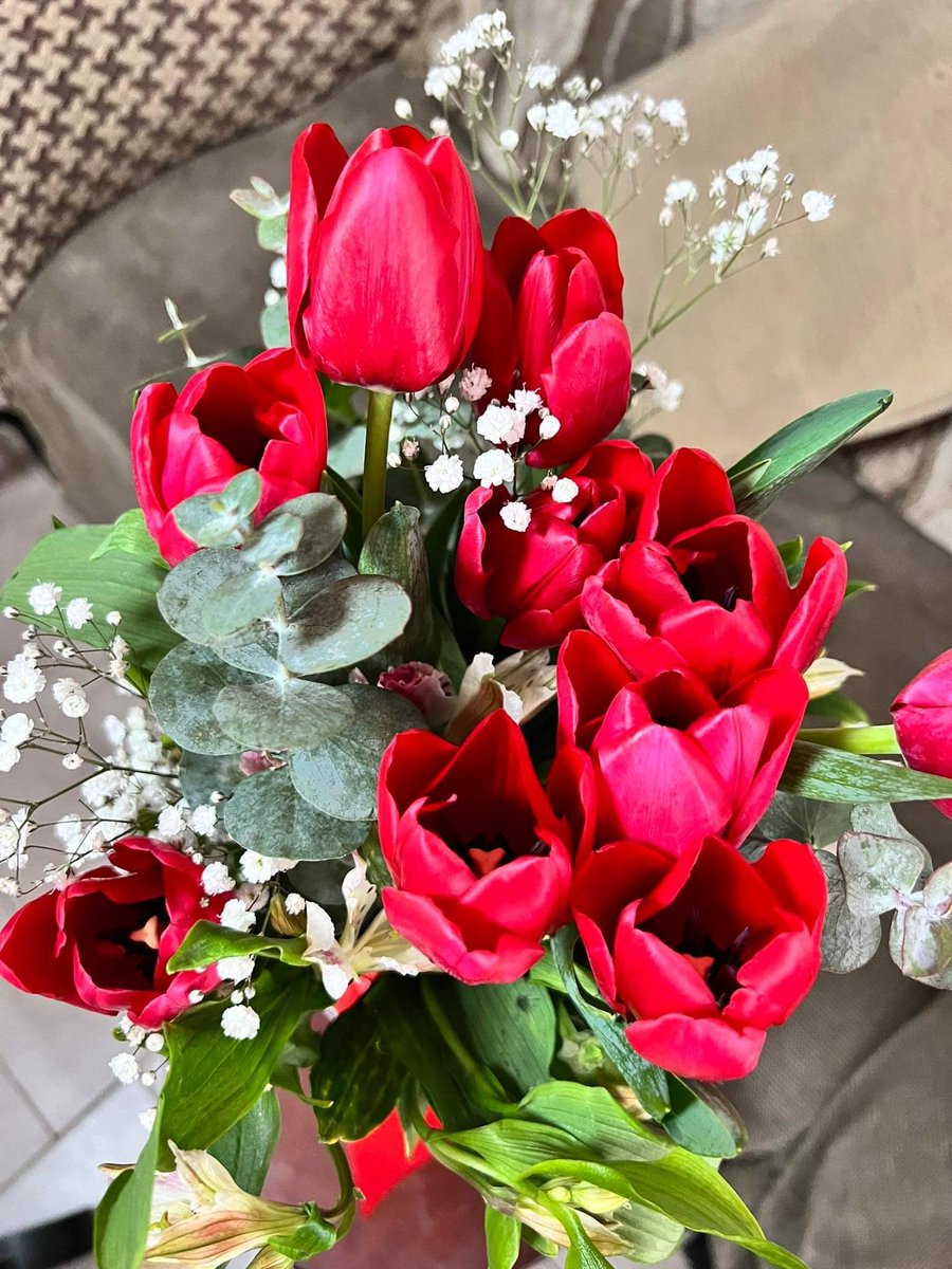 MichelleStarlig's tweet photo. Tulips 🌷🥰 from my valentine’s👩🏻‍❤️‍💋‍👨🏼 https://t.co/royvfjXdz1