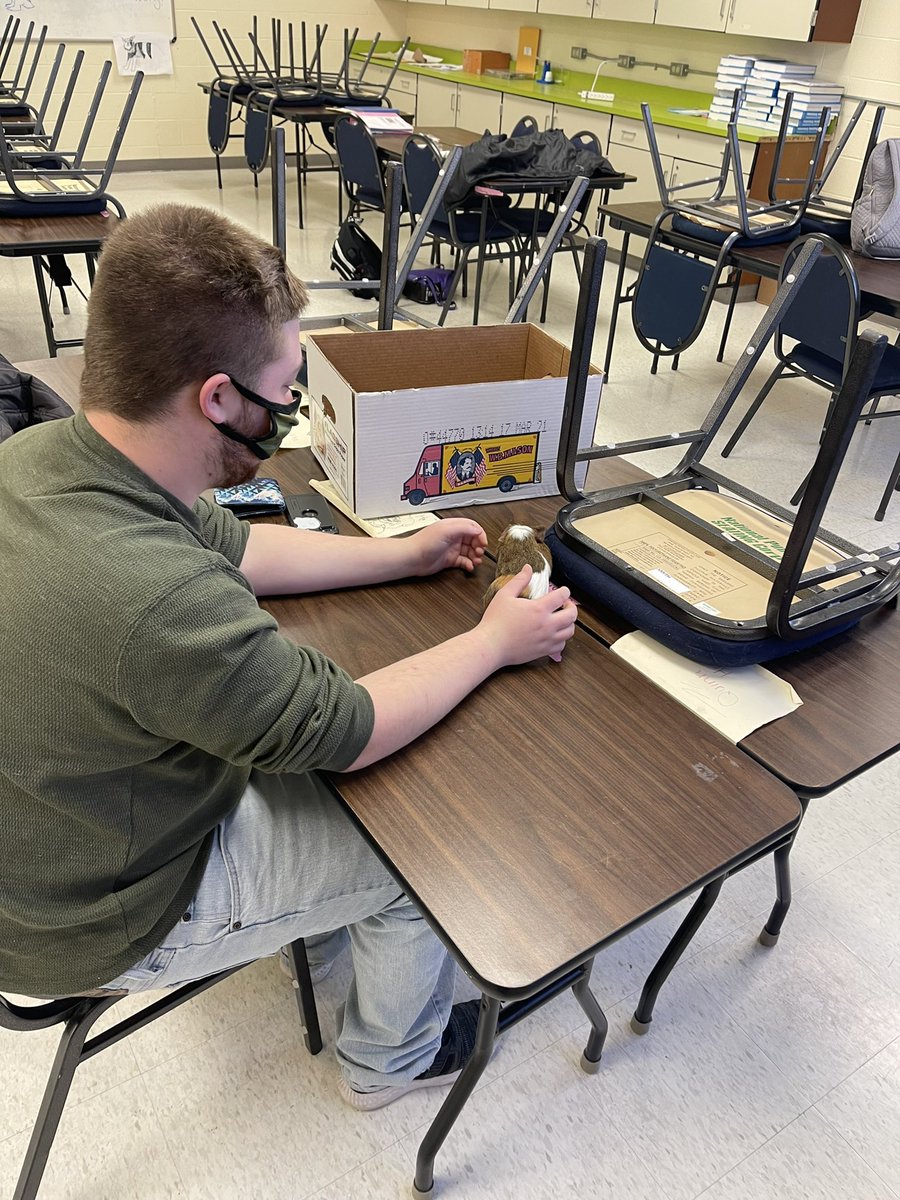 SSBindemann's tweet photo. February is CTE month. In Mr Muck’s Animal Science program students are prepping and cleaning habitats for classroom animals. #engaged #nctec @ONBOCES https://t.co/Op2X0eE1dj