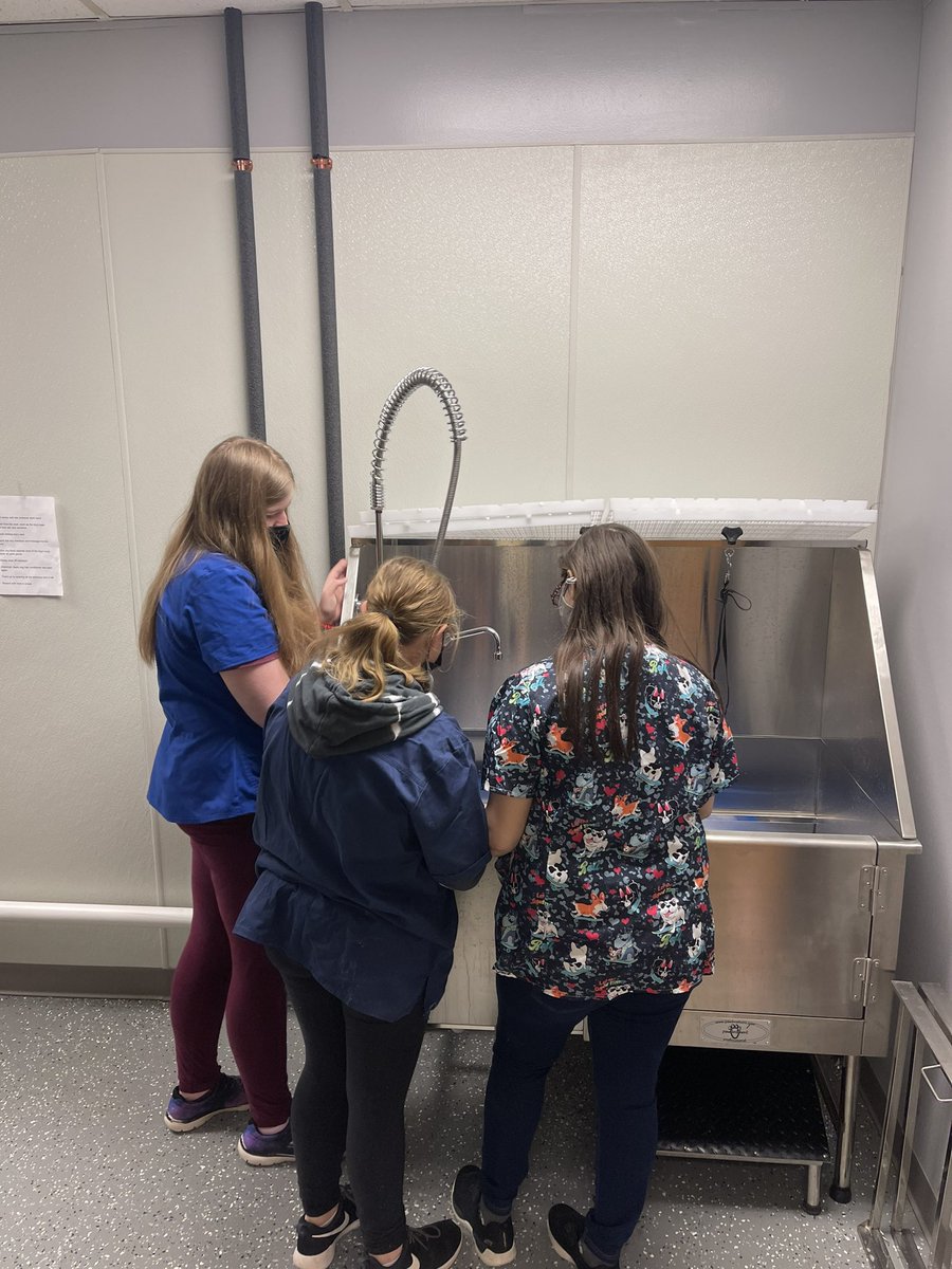 SSBindemann's tweet photo. February is CTE month. In Mr Muck’s Animal Science program students are prepping and cleaning habitats for classroom animals. #engaged #nctec @ONBOCES https://t.co/Op2X0eE1dj