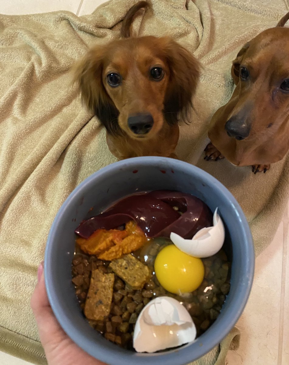 Love is serving your pups raw beef liver with their regular dog food! Happy Valentine’s Day from 3C❤️🐶